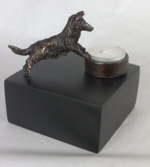 Honden urn Collie langhaar